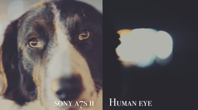 Sony A7S II İnsan Gözünden Daha İyi Mi Çekiyor?